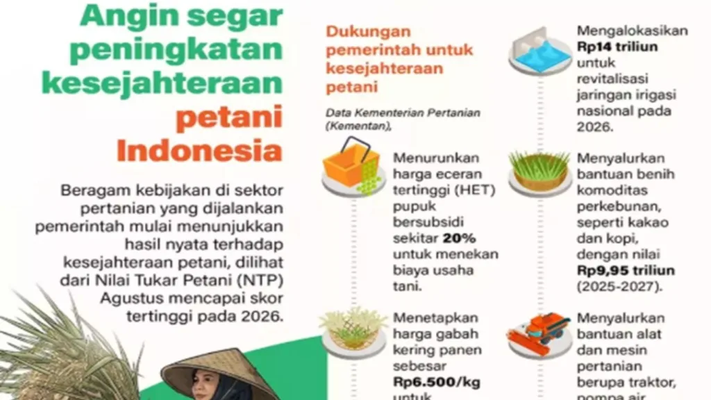 NTP Tembus Rekor 129,19 pada Agustus 2026, Petani Makin Sejahtera?