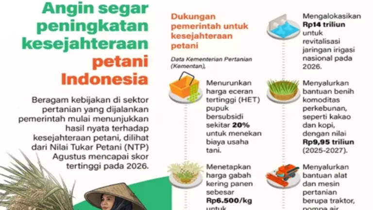 NTP Tembus Rekor 129,19 pada Agustus 2026, Petani Makin Sejahtera?