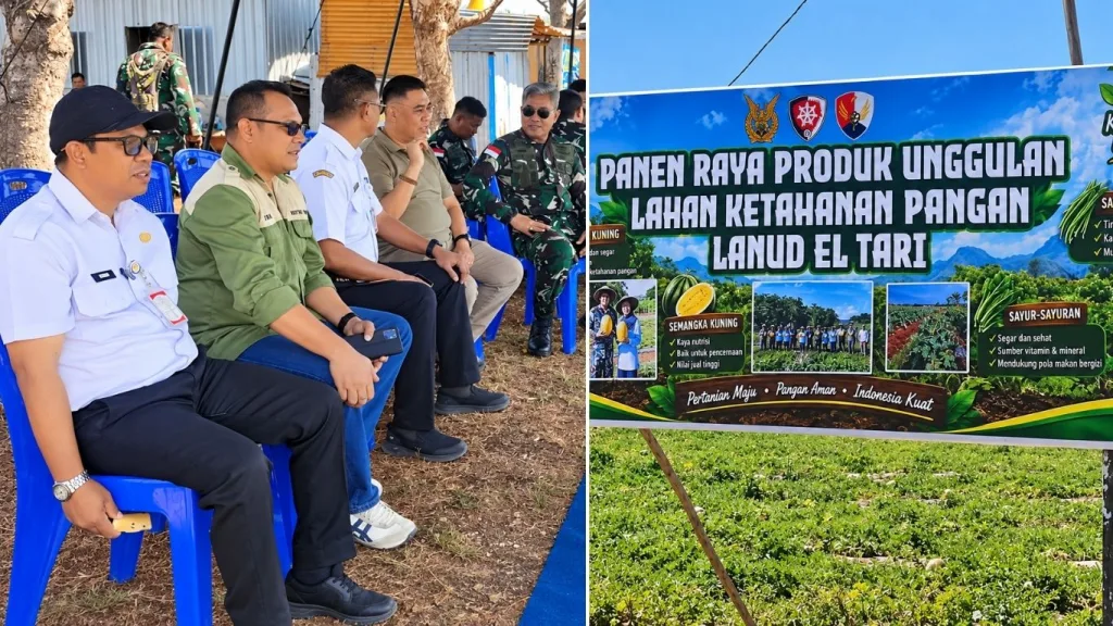 Panen Raya Lahan Ketahanan Pangan Lanud El Tari, Distankp NTT Hadir Bersama Unsur Perbenihan