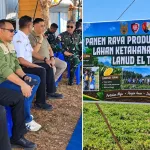 Panen Raya Lahan Ketahanan Pangan Lanud El Tari, Distankp NTT Hadir Bersama Unsur Perbenihan
