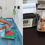 Pastikan Kualitas Benih, UPT PSB NTT Uji Jagung dan Benih Padi