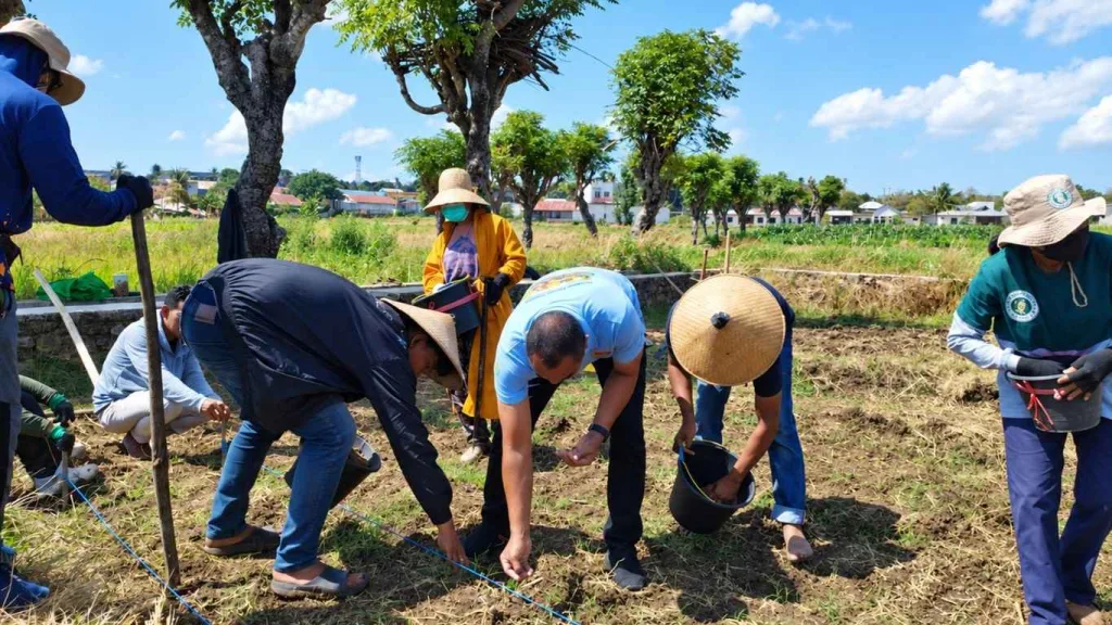 Penanaman Dilakukan Bertahap Sesuai Kondisi Lahan