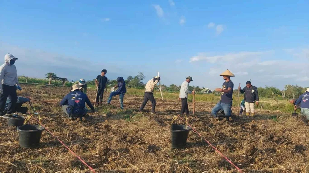 Ruang belajar bersama di demplot 2 gerakan teknologi