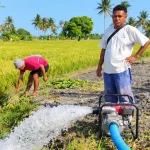 BBI Noelbaki Optimalkan Pengairan Blok 3 dan Pengemasan Benih Padi