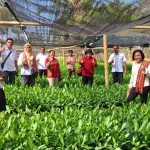 BRMP NTT dan UPTD PSB TPHP Pantau Benih Perkebunan Kopi, Kakao, Pala, dan Jambu Mete di Sikka