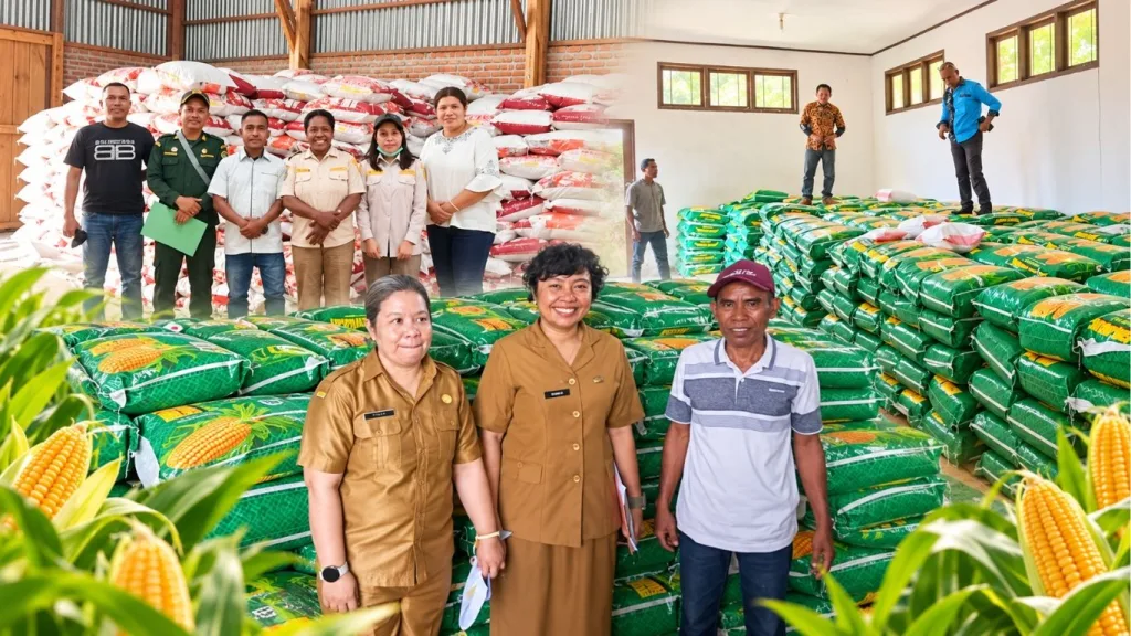 Pemeriksaan bantuan benih jagung hibrida di gudang penyimpanan Kabupaten Alor menjelang musim tanam Oktober–Desember 2026.