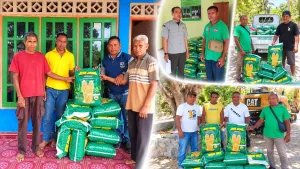 Benih Jagung Jafran 1 Disalurkan Bertahap, Petani Kabupaten Kupang Bersiap Hadapi Musim Tanam
