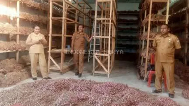 https://indonesiasurya.com/bupati-lembata-pastikan-gudang-bawang-siap-jaga-stabilitas-harga