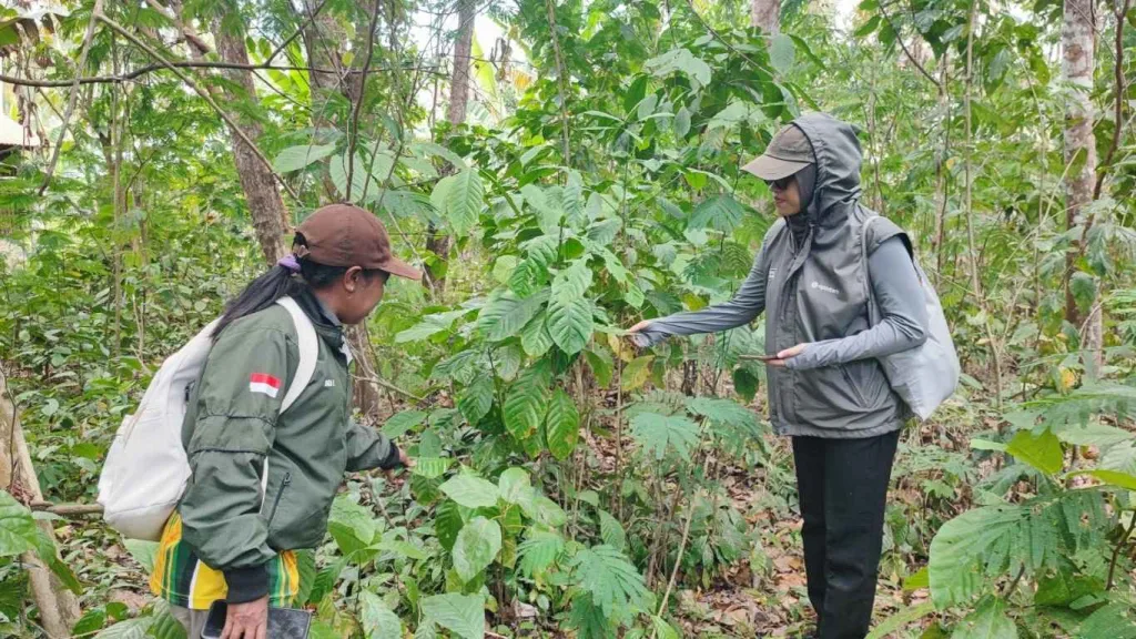 Data Lapangan Perkuat Akurasi Peta Tutupan Lahan
