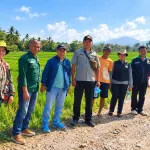 Tim Dinas Pertanian NTT bersama petugas pertanian melakukan monitoring di kawasan persawahan Kabupaten Ngada.