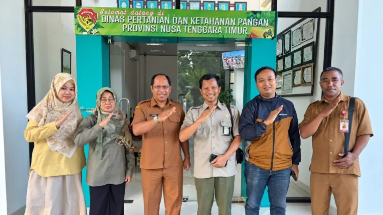 Dinas Pertanian dan Ketahanan Pangan Provinsi Nusa Tenggara Timur menerima kunjungan kerja tim Balai Besar Perbenihan dan Pelindungan Tanaman Perkebunan (BBPPTP) Surabaya, Direktorat Jenderal Perkebunan Kementerian Pertanian, pada Senin (5/10/2026). Kunjungan tersebut dilaksanakan dalam rangka koordinasi dan konsultasi terkait monitoring kegiatan pengembangan komoditas jambu mete dan kakao di Kabupaten Alor Tahun 2026. Pertemuan diterima oleh Pelaksana Harian (Plh.) Sekretaris Dinas Pertanian dan Ketahanan Pangan Provinsi NTT yang juga menjabat sebagai Kepala UPTD Perbenihan Tanaman Pangan dan Hortikultura, bersama staf Bidang Perkebunan. Koordinasi ini menjadi bagian dari upaya memperkuat komunikasi antara pemerintah pusat dan pemerintah daerah dalam mendukung pelaksanaan program pengembangan perkebunan, khususnya pada komoditas unggulan yang memiliki potensi ekonomi bagi masyarakat Kabupaten Alor. Penguatan Monitoring Pengembangan Jambu Mete dan Kakao Jambu mete dan kakao merupakan dua komoditas perkebunan yang mendapat perhatian dalam pengembangan sektor pertanian Kabupaten Alor. Kedua komoditas tersebut memiliki potensi untuk mendukung peningkatan produksi dan menjadi sumber pendapatan masyarakat dalam jangka panjang. Sebelumnya, pada 14 September 2026, telah dilaksanakan monitoring pembibitan jambu mete varietas Populasi Flotim 1 (MPF 1) di Desa Pailelang, Kecamatan Alor Barat Daya, Kabupaten Alor. Kegiatan tersebut merupakan salah satu upaya pemantauan ketersediaan bahan tanam untuk mendukung pengembangan perkebunan. Pengembangan kakao dan jambu mete di Alor juga sejalan dengan perhatian Kementerian Pertanian terhadap penguatan komoditas perkebunan yang berpotensi memberikan manfaat ekonomi berkelanjutan bagi masyarakat. Melalui koordinasi dengan BBPPTP Surabaya, pelaksanaan monitoring diharapkan dapat semakin terarah, terutama dalam mendukung evaluasi perkembangan kegiatan dan mengidentifikasi kebutuhan tindak lanjut di tingkat daerah. Sinergi Pusat dan Daerah Dukung Perkebunan Berkelanjutan Pengembangan komoditas perkebunan memerlukan dukungan yang berkesinambungan, mulai dari penyediaan benih bermutu, penerapan teknik budidaya yang sesuai dengan kondisi wilayah, pemeliharaan tanaman hingga pendampingan petani. Koordinasi antara Dinas Pertanian dan Ketahanan Pangan Provinsi NTT dan BBPPTP Surabaya menjadi bagian dari penguatan kerja sama teknis untuk mendukung keberlanjutan pengembangan jambu mete dan kakao di Kabupaten Alor. Melalui sinergi pemerintah pusat dan daerah, pengembangan kedua komoditas ini diharapkan mampu meningkatkan produktivitas perkebunan, memperkuat pemanfaatan potensi pertanian lokal, serta membuka peluang peningkatan nilai tambah hasil perkebunan bagi petani. Upaya tersebut sekaligus mendukung pembangunan sektor pertanian Nusa Tenggara Timur yang lebih produktif, berkelanjutan, dan memberikan manfaat ekonomi bagi masyarakat.