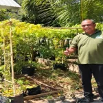 Hari Pangan Sedunia ke-46, Dinas Pertanian Ajak Warga Sulap Pekarangan Jadi Sumber Pangan