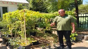 Hari Pangan Sedunia ke-46, Dinas Pertanian Ajak Warga Sulap Pekarangan Jadi Sumber Pangan