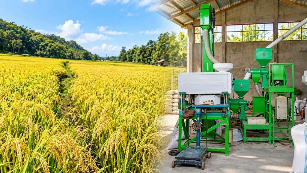 Kelompok Tani Bea Noang Manfaatkan RMU Kapasitas 5 Ton untuk Pengembangan Beras di Manggarai Timur