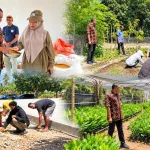 Kepala Dinas Pertanian NTT Pantau Benih Jagung Hibrida, Bawang Merah, dan Jambu Mete