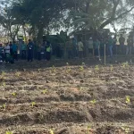 NTT Siapkan Regenerasi Petani Melalui Edukasi sejak Dini