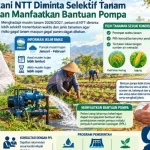Pasokan Air Menipis, Petani Diminta Selektif Tanam dan Manfaatkan Bantuan Pompa