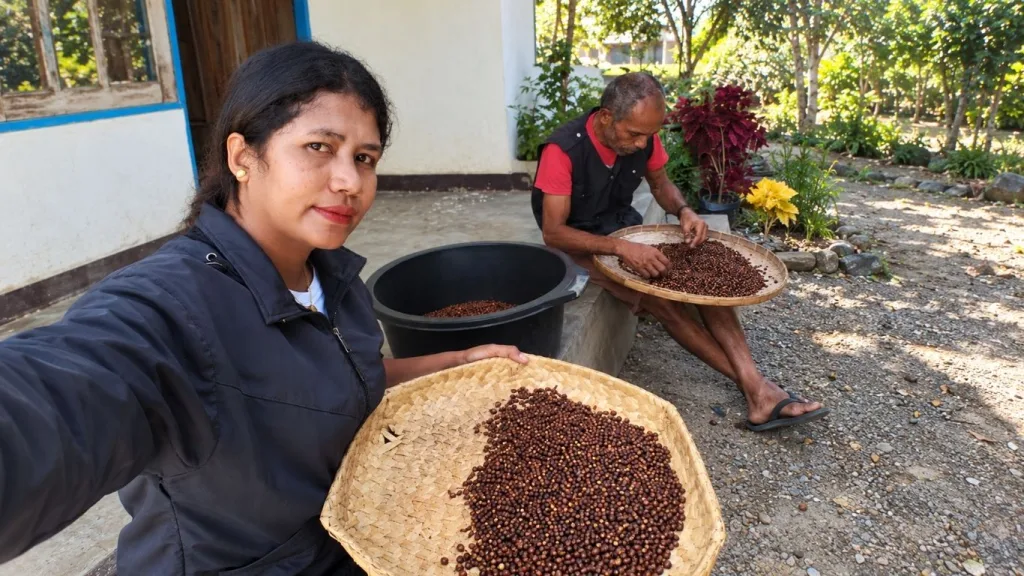 Perawatan Intensif Kebun Dinas Eban di TTU, DistanKP NTT Pelihara Ratusan Tanaman Kopi dan Perkebunan