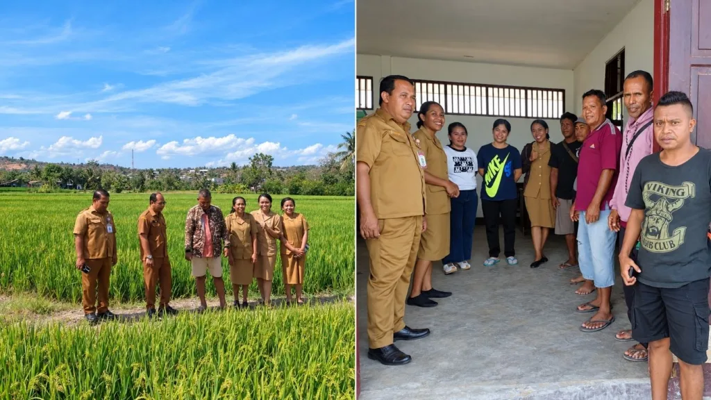 Perkuat Penyediaan Benih Padi, UPTD Perbenihan TPH NTT Pantau Pertanaman di Noelbaki