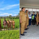 Perkuat Penyediaan Benih Padi, UPTD Perbenihan TPH NTT Pantau Pertanaman di Noelbaki