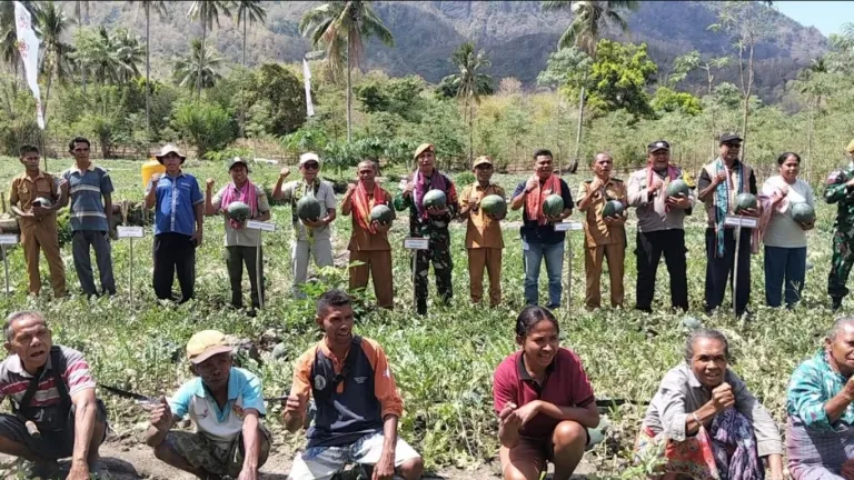Semangka Manamas Tembus Dapur MBG, DPC HKTI TTU Hadir Perkuat Dukungan untuk Petani