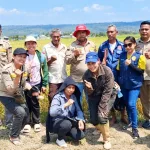 Ubinan Padi Ciherang di Malaka, Poktan Tunas Harapan Bersama PPL dan POPT Pantau Potensi Hasil Panen